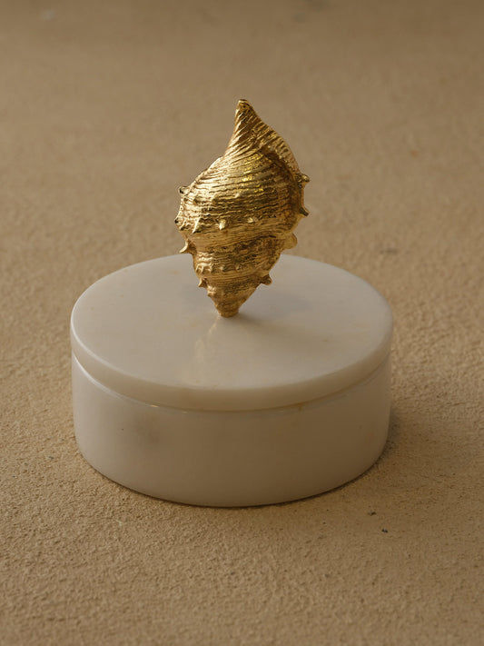 Midye Kutu